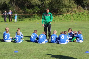 开云官方网页登录-欧洲杯冠军悬念：战术配合与个人能力巅峰对决，欧洲杯冠军大热门